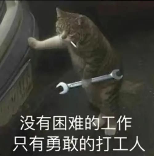 打工人背锅吃瓜视频,揭秘职场生存真相