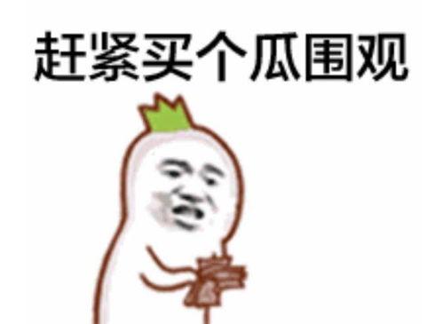 吃瓜群众大表哥视频,揭秘娱乐圈幕后真相