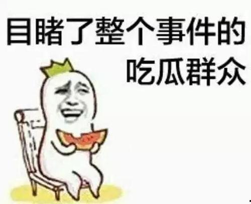 吃瓜群众猪头舔屏视频,揭秘吃瓜群众的疯狂追剧现象