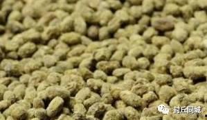 封丘吃瓜视频,揭秘当地特色美食背后的故事