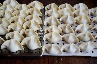 蒲瓜可包饺子吃吗视频讲解,家常美味新尝试
