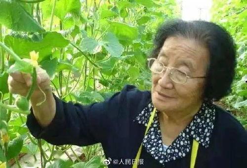 不求人吃瓜云顶视频,揭秘热门游戏背后的趣味故事