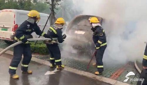 临沂临沭吃瓜事件视频曝光,视频曝光揭示惊人真相