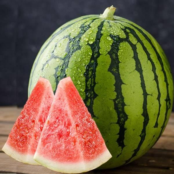 七冉内部吃瓜视频,揭秘娱乐圈幕后真相