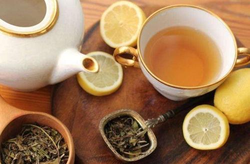 吃瓜少年喝茶视频大全,视频大全带你领略茶艺魅力