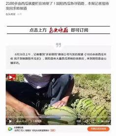 包头吃瓜事件视频最新消息