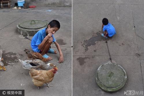 什么瓜不能喂鸡鸭吃呢视频,哪些瓜类不宜喂食鸡鸭，避免健康风险