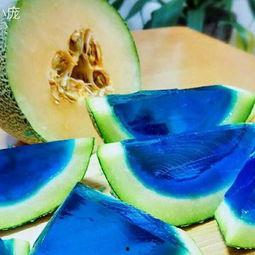 小黑狗吃哈密瓜视频大全