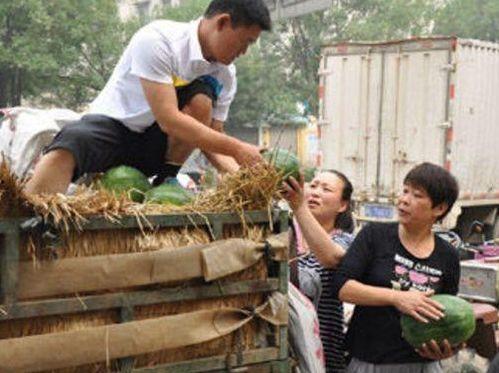 新沂市吃瓜事件视频,一场引发热议的网络风波
