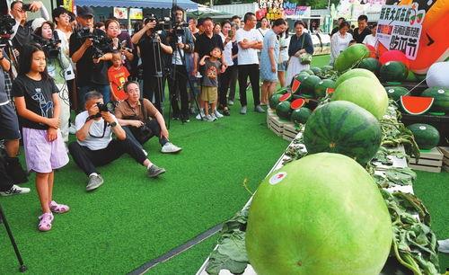 中国吃瓜节视频