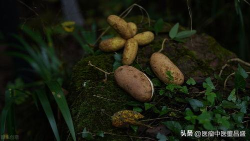 用八月瓜做吃的好吗视频,家常美味，营养满分！