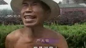 平顶山吃瓜事件视频最新,一场引发社会热议的“瓜农维权”风波